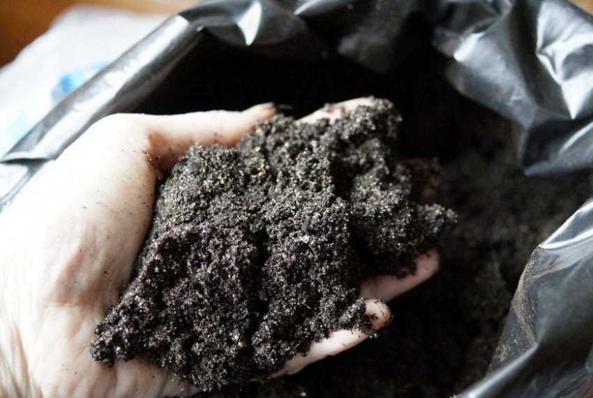 Грунт для розсади Грунт для розсади