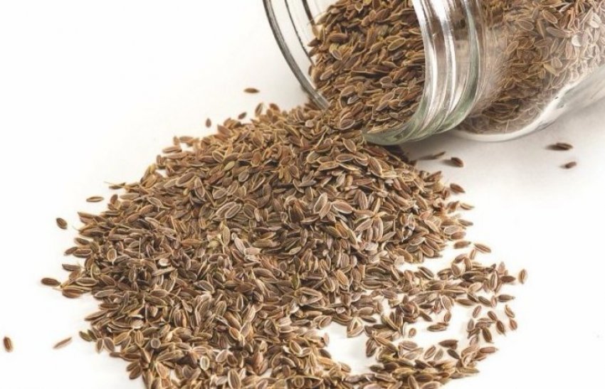 Підготовка насіння