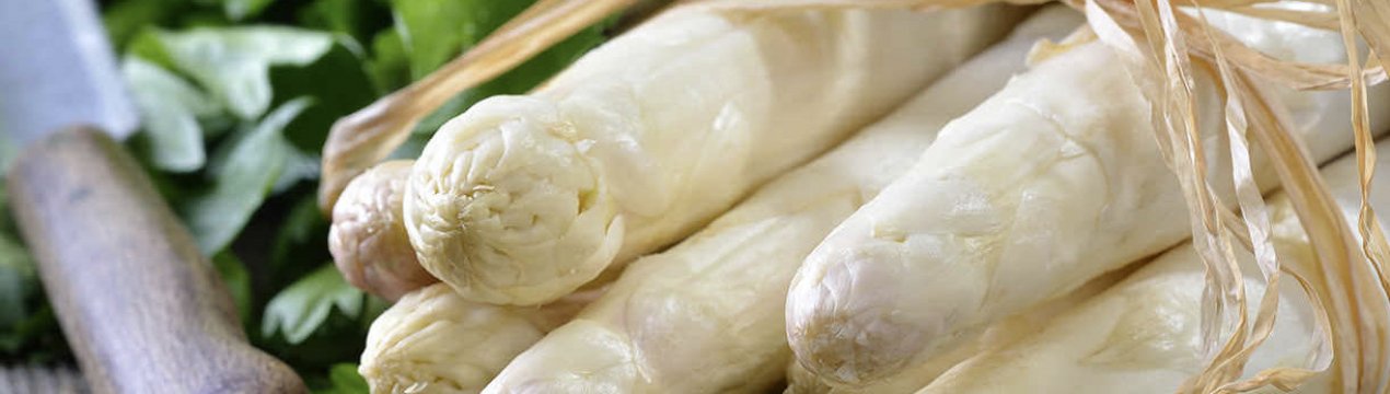 Спаржа біла: вирощування і догляд, корисні властивості