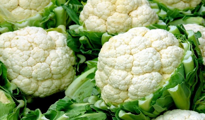 Цвітна капуста