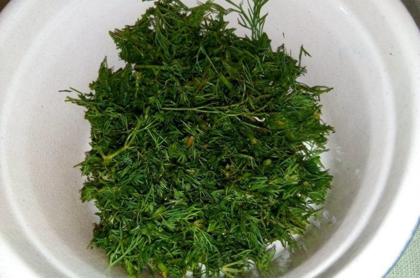 Відвар кропу для особи Відвар кропу для особи