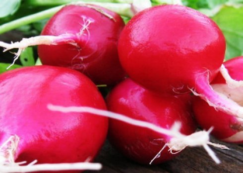 Чи можна заморожувати редиску в морозилці на зиму