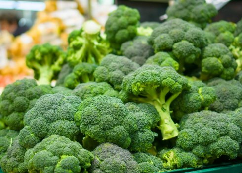 Особливості вирощування капусти броколі