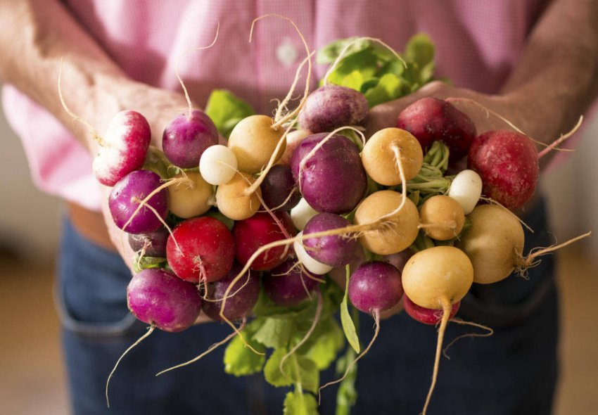 За кольором