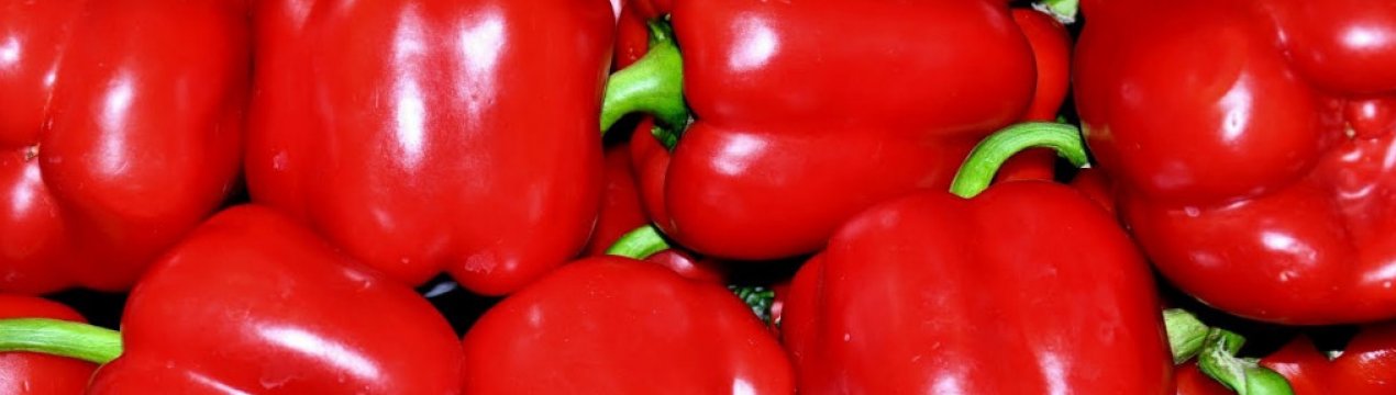Болгарський перець: користь і шкоду для організму, норма споживання, калорійність