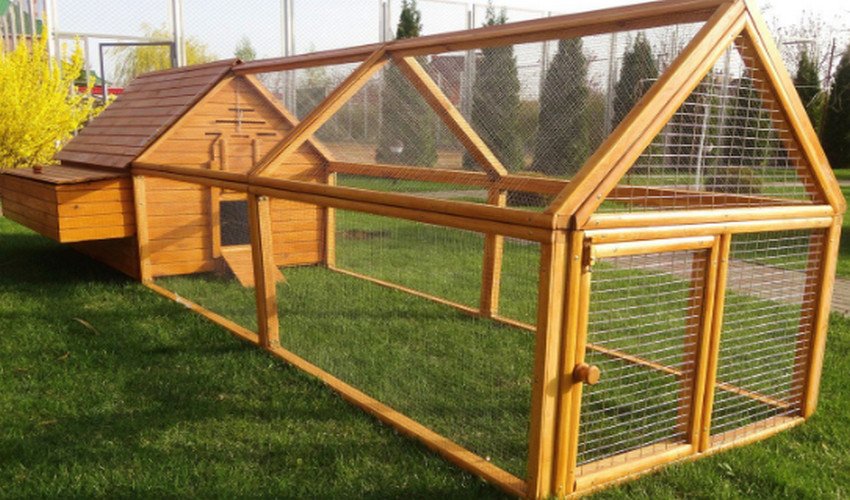 Курник своїми руками Курник своїми руками