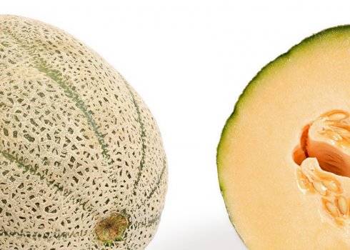 Канталупа диня: характеристика, секрети успішного вирощування