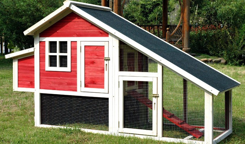 Курник своїми руками Курник своїми руками