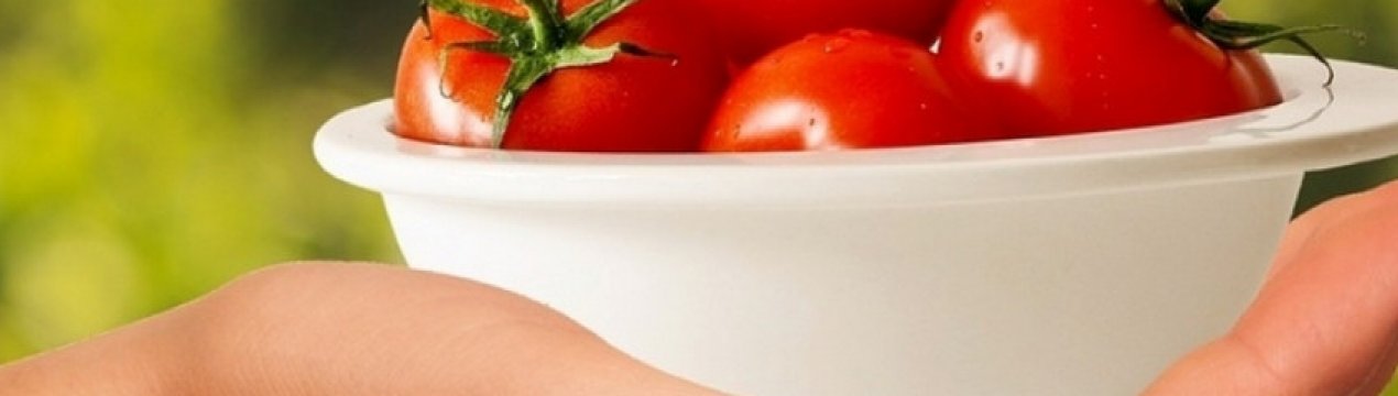 Помідори Валентина: опис, агротехніка вирощування