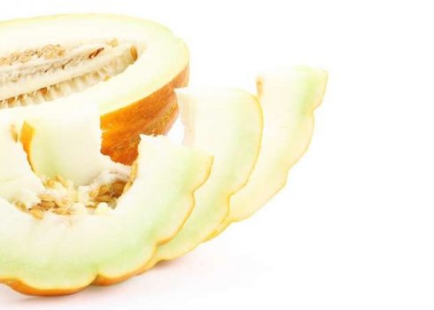 Сорт дыни Эфиопка: как выглядит, как вырастить на своём огороде