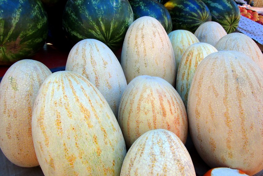 Місце покупки і сертифікат