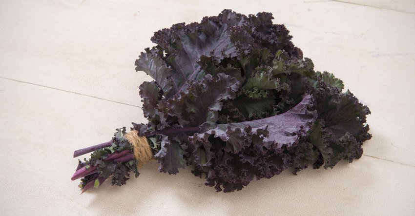 Кале Скарлет Кале Скарлет