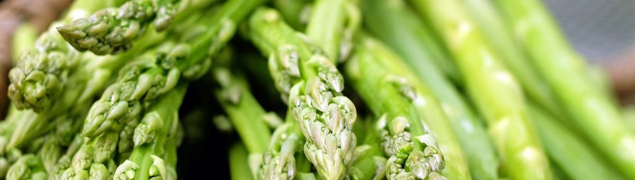 Чи корисна спаржа