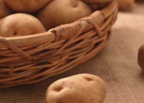 Картопля Іван-да-Мар'я: характеристика та опис сорту, способи вирощування