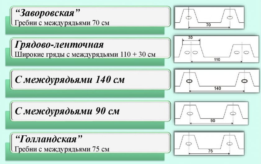 Посадка картофеля Посадка картофеля