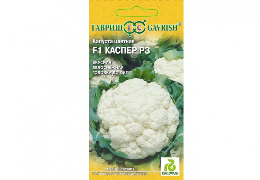 Каспер F1 Каспер F1