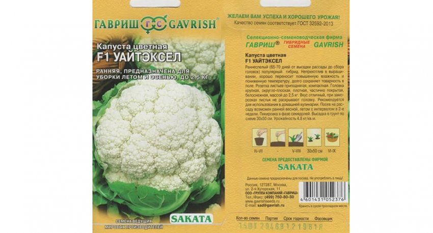 Уайтэксел F1 Уайтэксел F1