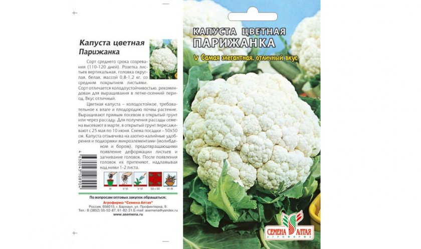 Парижанка Парижанка