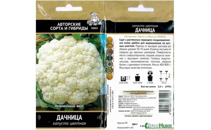 Дачница Дачница