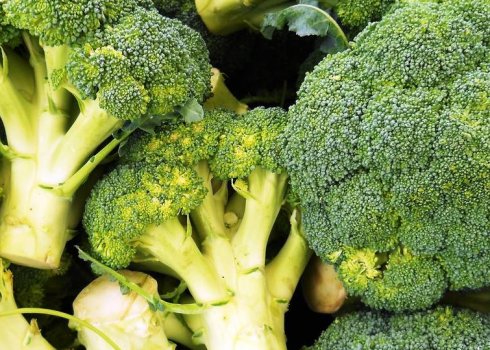 Ранньостиглі, середньостиглі та пізньостиглі сорти капусти броколі