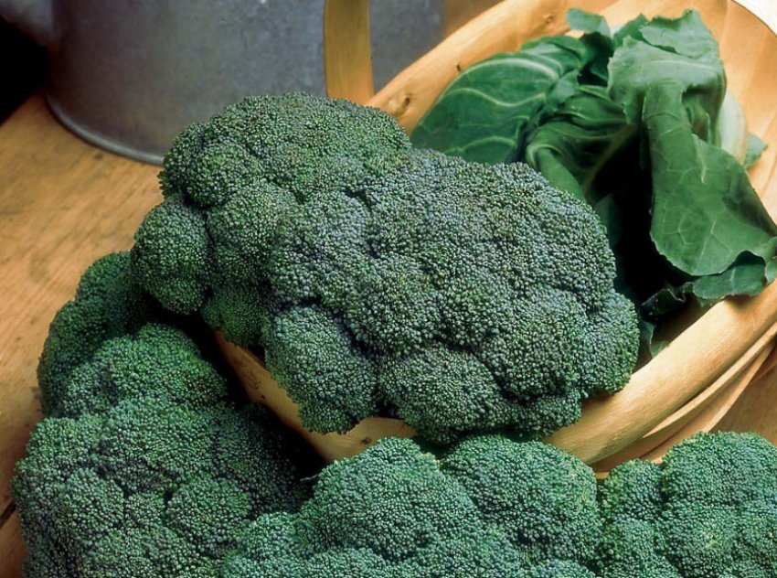 Калабрезе Калабрезе