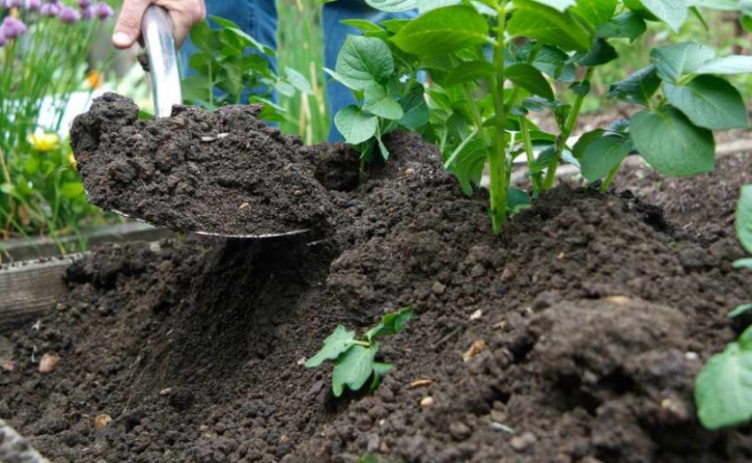 Підгортання Підгортання