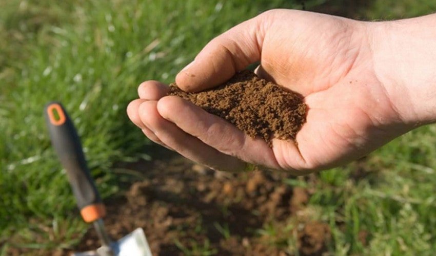 Грунт для посадки