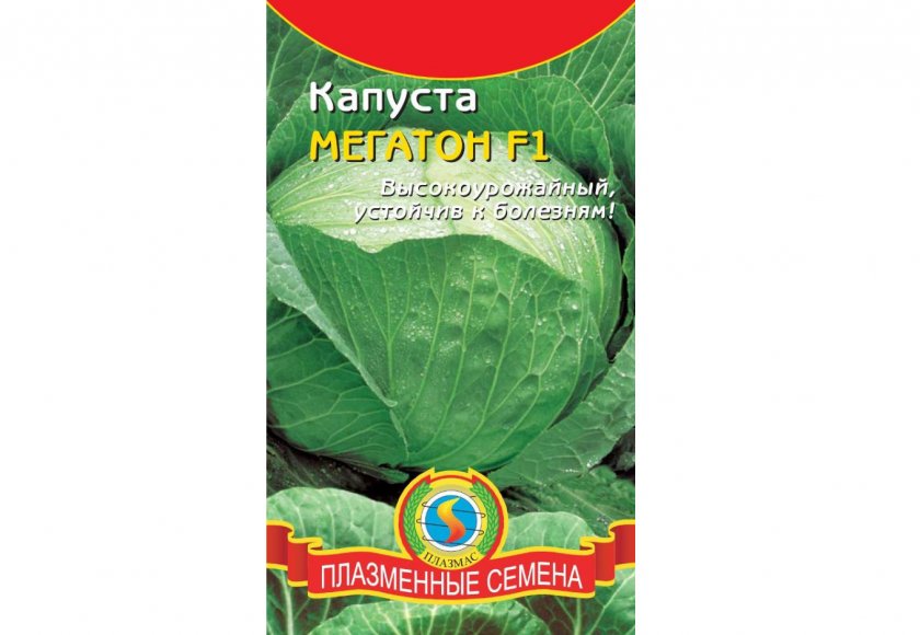 Семена капусты Мегатон Семена капусты Мегатон