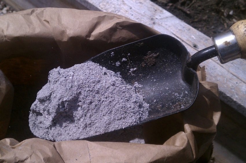 Деревна зола Деревна зола