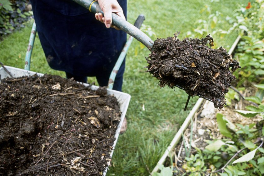 Компост Компост