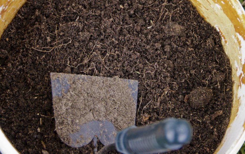 Грунт для антуриума своими руками. Подготовка грунта для рассады. Состав почвы для рассады. Почва для антуриума. Почвенная смесь для антуриума.