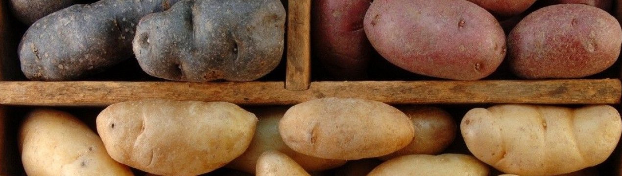 Хранение картофеля в холодильнике: способы и полезные рекомендации