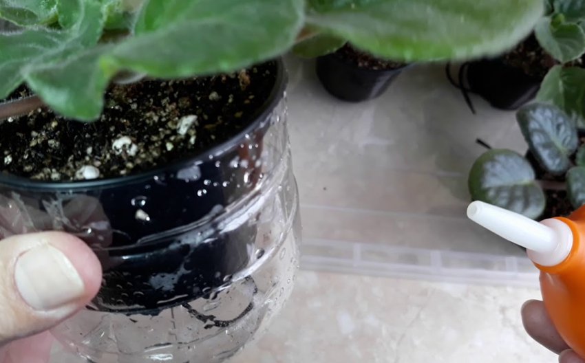 Внесення добрив Внесення добрив