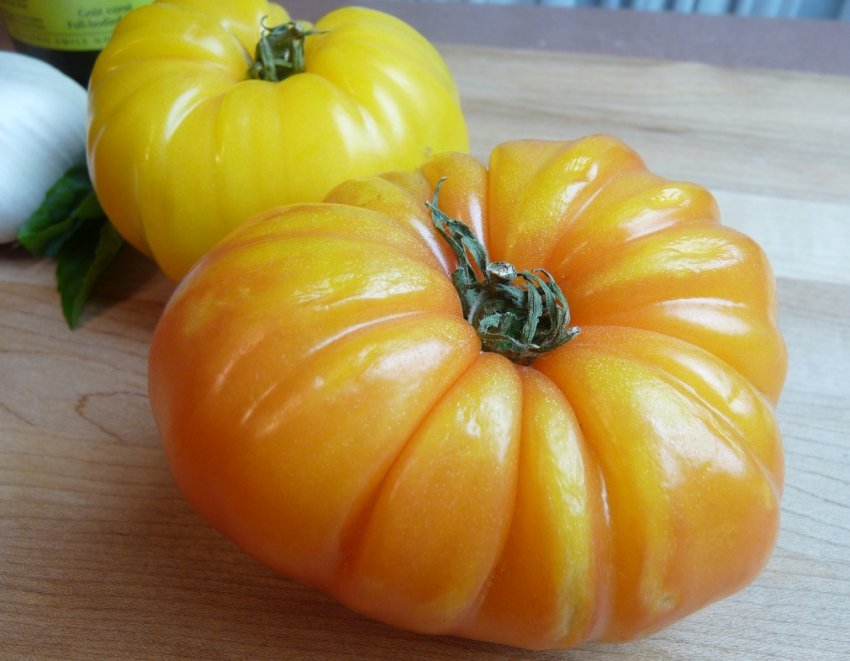 Брендивайн жовтий