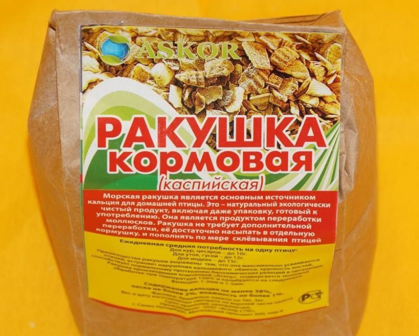 Кормові черепашки Кормові черепашки