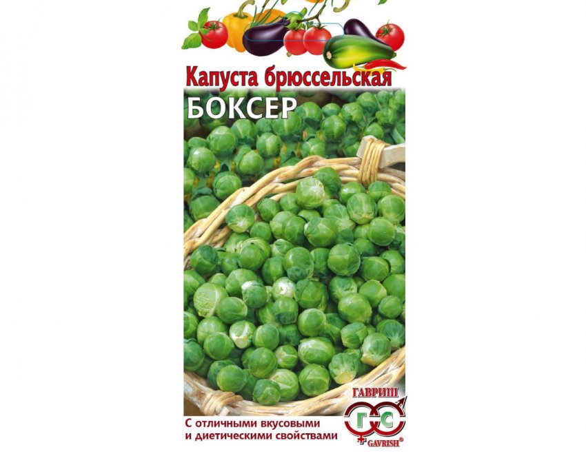 Боксер Боксер