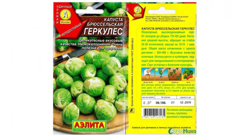 Геркулес Геркулес