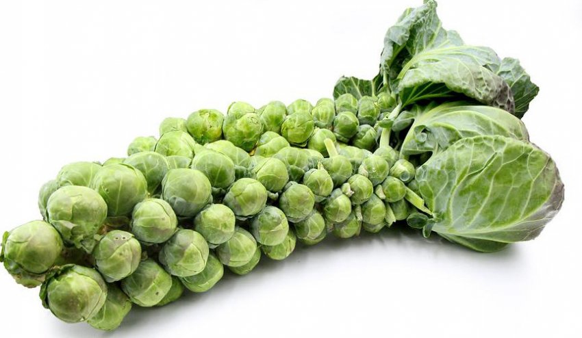 Долмик Долмик