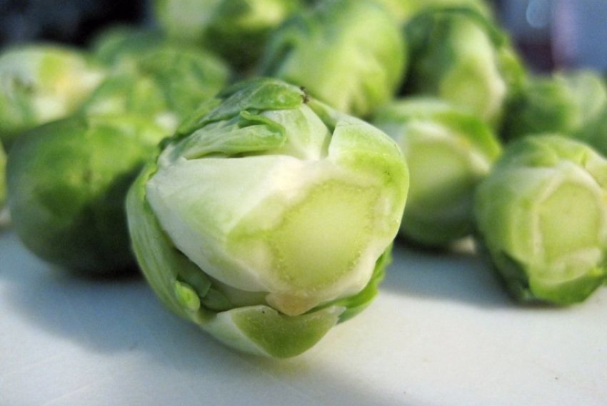 Завитка Завитка