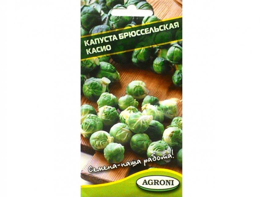 Касіо Касіо