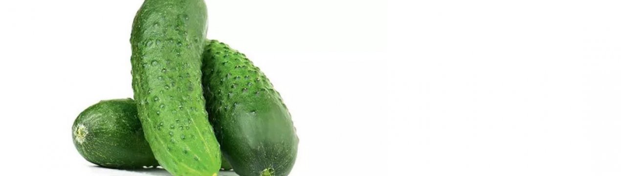 Сорт огірків Омелько F1: опис, вирощування і догляд