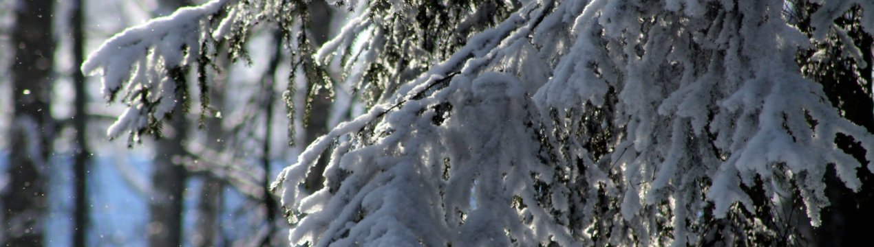 Україна готується до серйозного похолодання