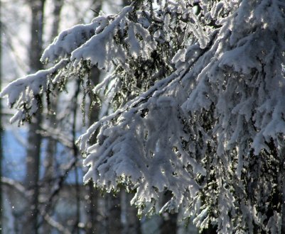 Україна готується до серйозного похолодання