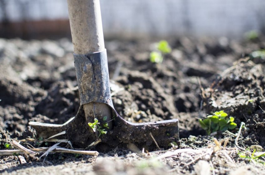 Перекопування грунту