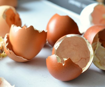 У чому причина тонкої шкаралупи у курячого яйця і що при цьому робити