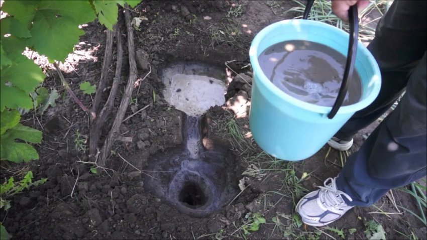 Внесення добрив Внесення добрив