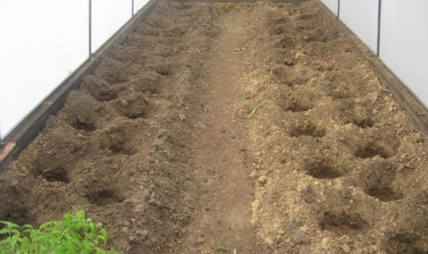 Схема і глибина посадки Схема і глибина посадки