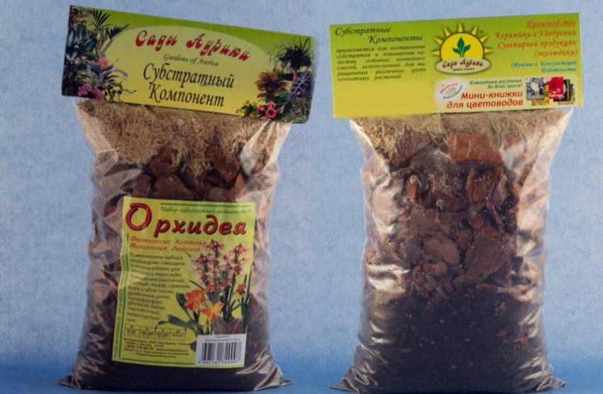 Пересадка орхідеї онцидиум