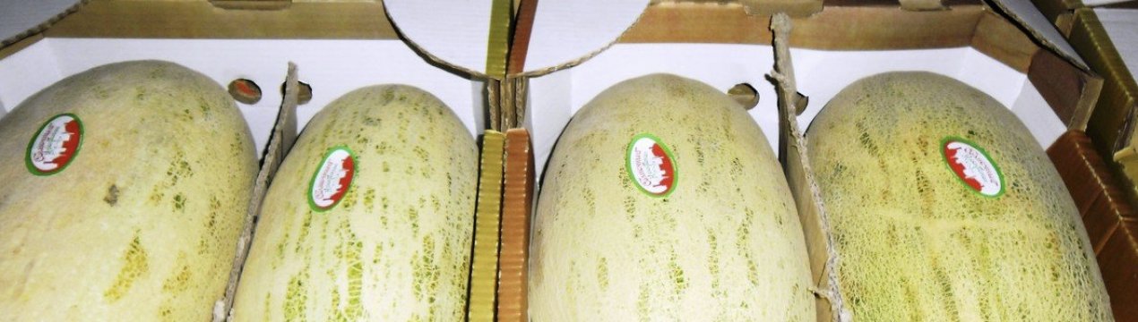 Як і де краще зберігати диню в домашніх умовах