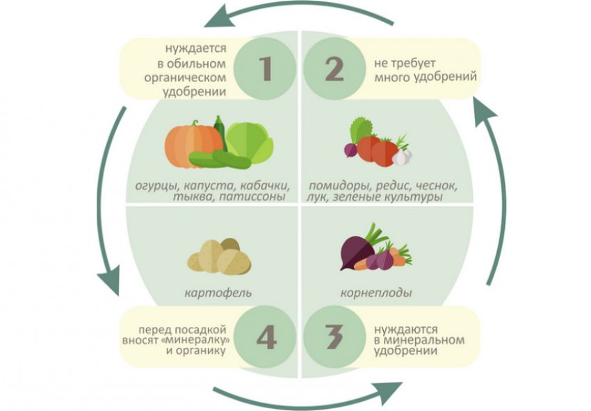 Сівозміни овочевих культур Сівозміни овочевих культур